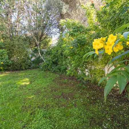 فيلة Casa Dos Sonhos Da *