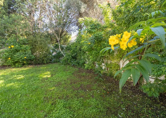 Villa Casa Dos Sonhos Da *